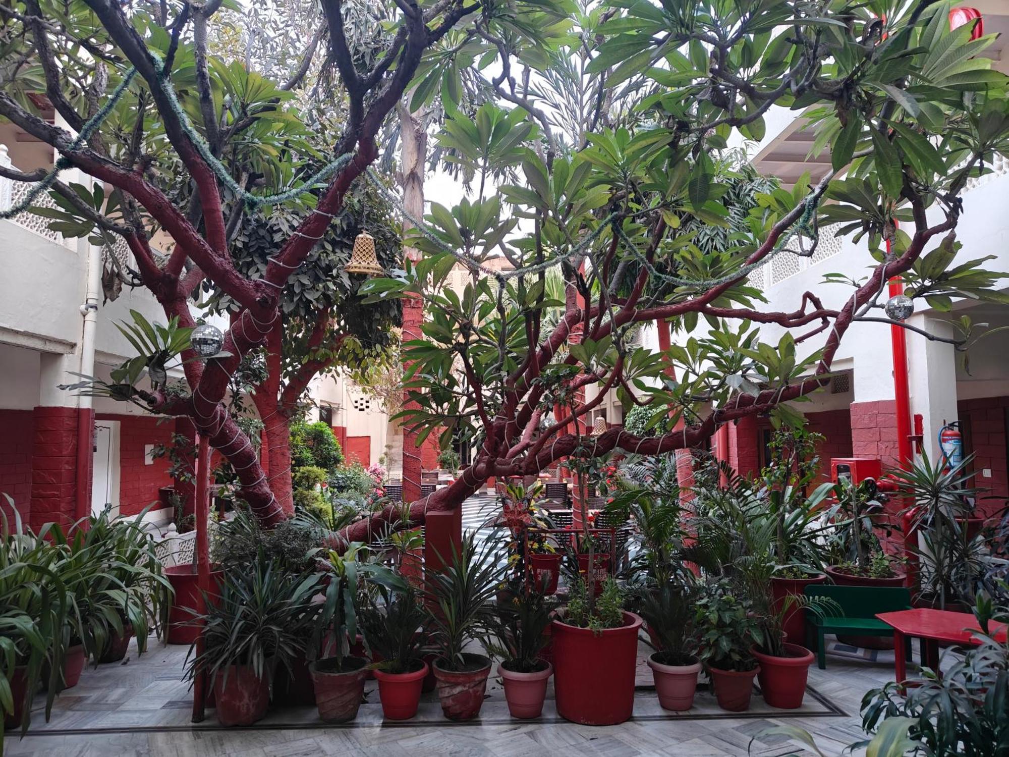 Hotel Tourist Rest House Agra Екстер'єр фото