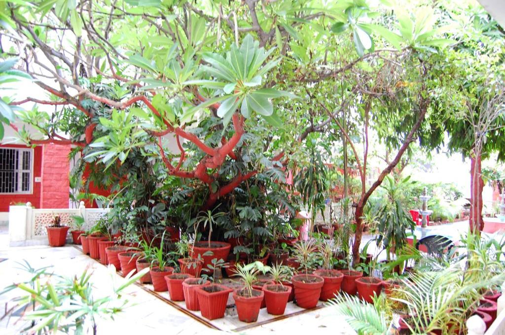 Hotel Tourist Rest House Agra Екстер'єр фото
